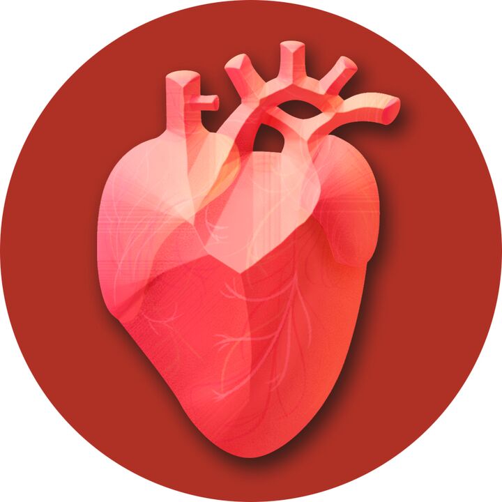 Hypertenze - stres na srdce